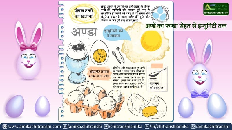 अण्डे का फण्डा सेहत से इम्यूनिटी तक
