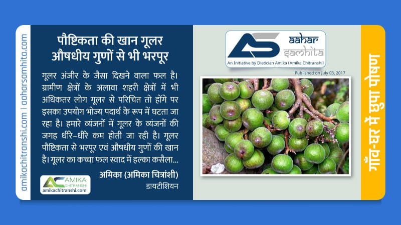 पौष्टिकता की खान गूलर औषधीय गुणों से भी भरपूर
