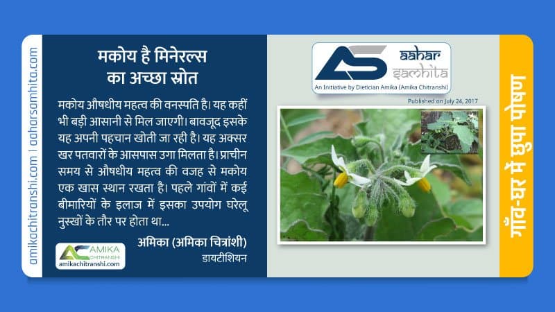 मकोय है मिनेरल्स का अच्छा स्रोत