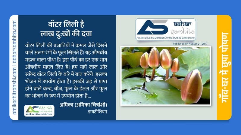 वॉटर लिली है लाख दु:खों की दवा