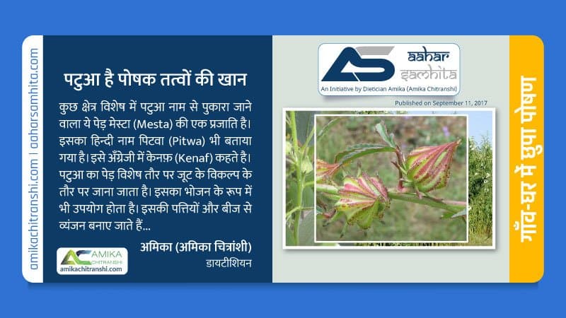 पटुआ है पोषक तत्वों की खान
