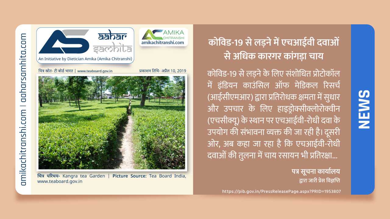 कोविड-19 से लड़ने में एचआईवी दवाओं से अधिक कारगर कांगड़ा चाय